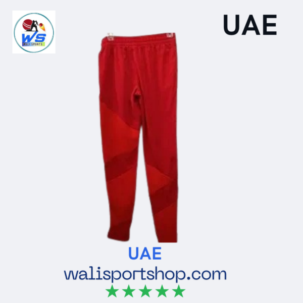 UAE Cricket Jersey 2025, Stylish Cricket T-Shirt - Image 3