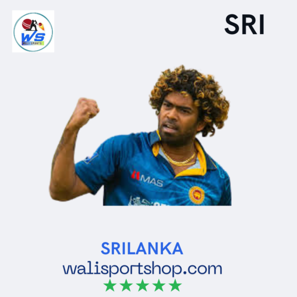 Sri Lanka Cricket Jersey 2025, Stylish Cricket T-Shirt - Image 4