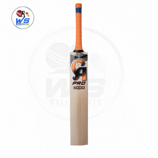 ca pro 5000 cricket bat