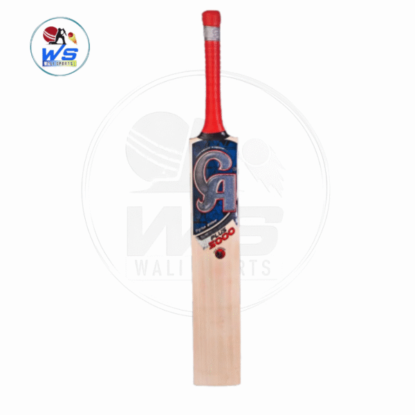 ca plus 5000 cricket bat
