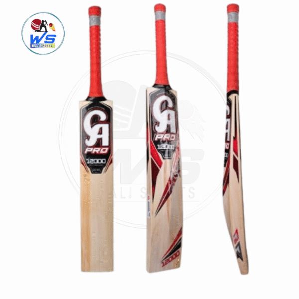 ca pro12000 cricket bat
