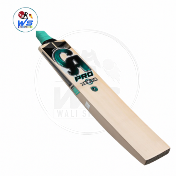 CA PRO 10000 CRICKET BAT