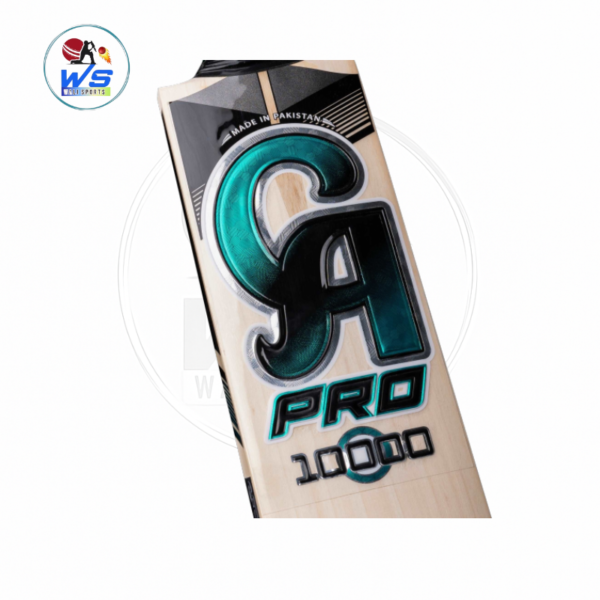 CA PRO HARD BALL BAT