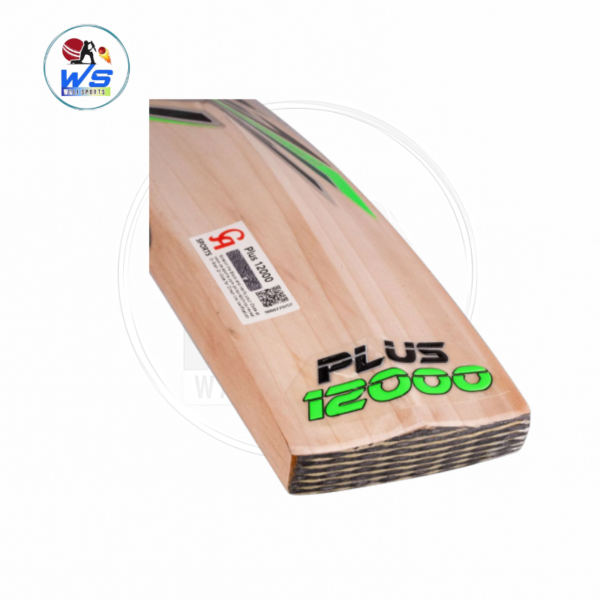 ca plus 12000 cricket bat