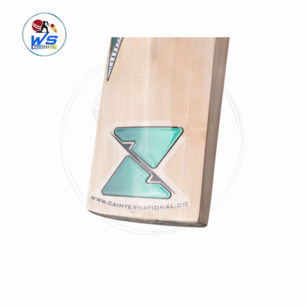 ca gold bat 8000